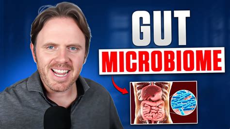 Understanding The Gut Microbiome How Bacteria Influence Your Well