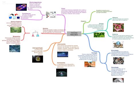 Arriba Imagen Mapa Mental De Ciencias Abzlocal Mx