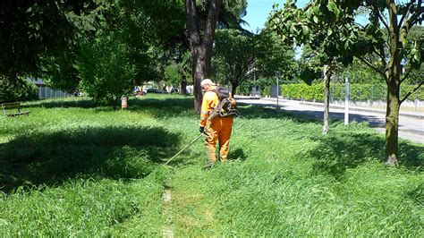 Padova La Situazione Degli Sfalci Nelle Aree Verdi Il Punto Dell