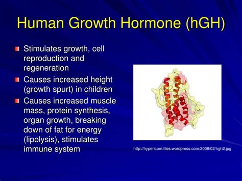 Ppt Hormones And Steroids Powerpoint Presentation Free Download Id 6134457