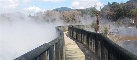 Kuirau Park | Rotorua, New Zealand