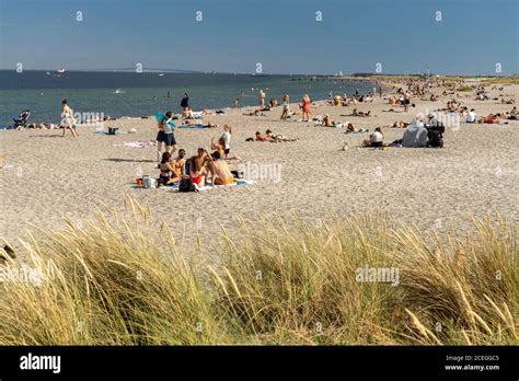 Amager Strandpark in Kopenhagen, Dänemark, Europa | Amager Beach Park ...