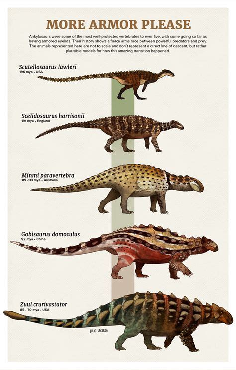 310 Ankylosauria ideas in 2021 | prehistoric, prehistoric animals, dinosaur