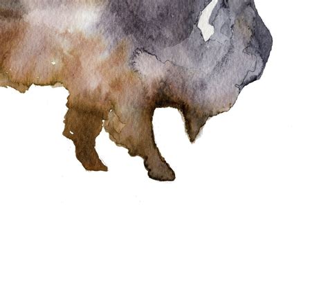 Buffalo Watercolor Buffalo Print Bison Print Buffalo Wall - Etsy