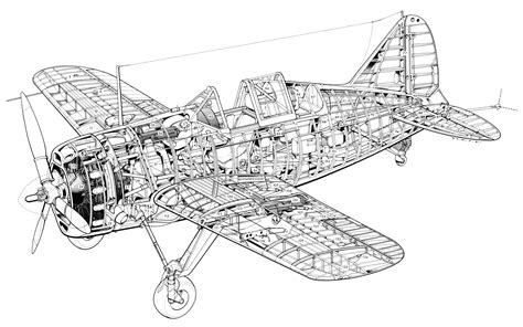 Brewster F2A Buffalo Cutaway Drawing in High quality