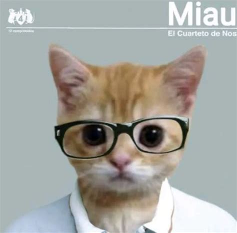 Miau Raro En 2023 Cuarteto De Nos Fotos De Familia Raras Imágenes Divertidas