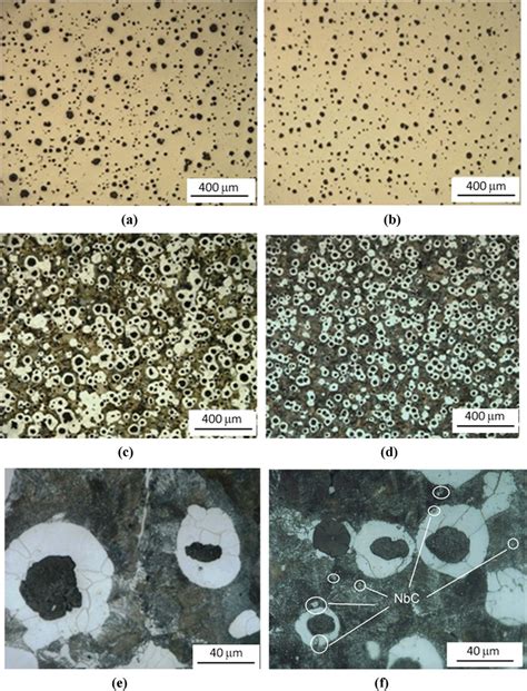 E Optical Micrographs Showing The Microstructure Of Ductile Irons In Download Scientific