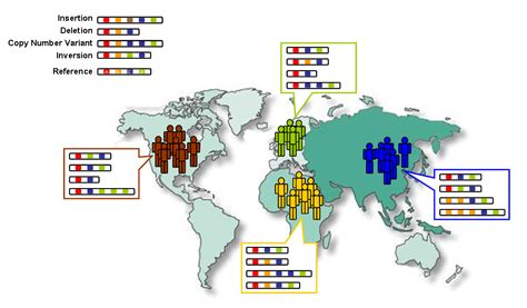 1000 Genomes Project - Wikipedia