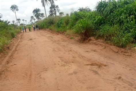 Land At The Heart Of Owerri Town For Sale Naijalandlord