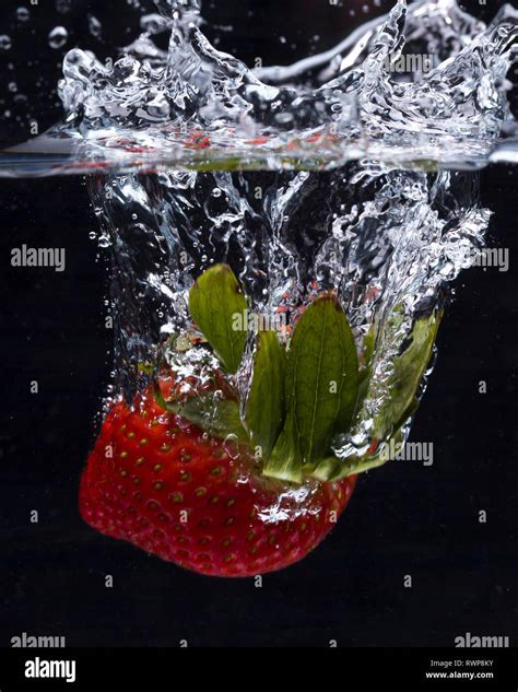 A Strawberry Is Dropped Into Water Against A Black Background Making A