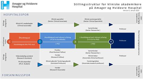 Stillingsstruktur For Kliniske Akademikere