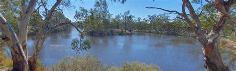 Wimmera River Walk Loop 31 Reviews Map Victoria Australia Alltrails