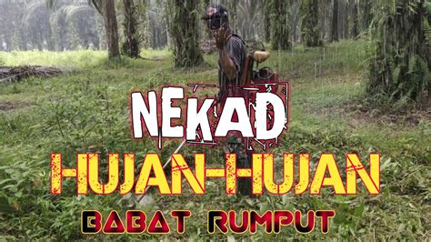 NEKAD Babat Rumput Sampai Hujan Hujanan Biar Cepet Dapet Bayaran