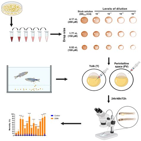 Evaluating The In Vivo Virulence Of Environmental Pseudomonas