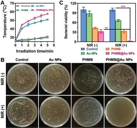 A VehicleFree Antimicrobial Polymer Hybrid Gold Nanoparticle As