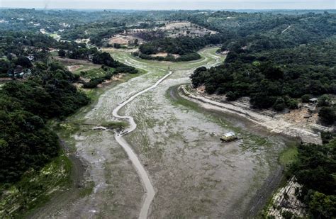 Imágenes impactantes de la sequía del río Amazonas que afecta ya a