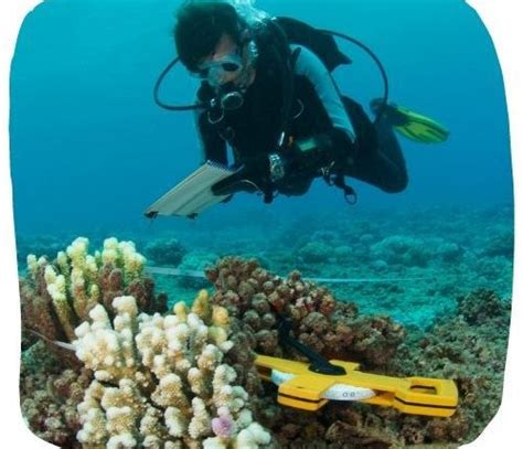 Oceanographer – Career In STEM®