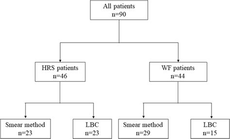 flowchart  hrs  wf patients   study hrs high risk