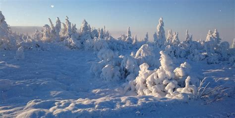 discover  magic  saelen  ultimate guide swedens snow paradise