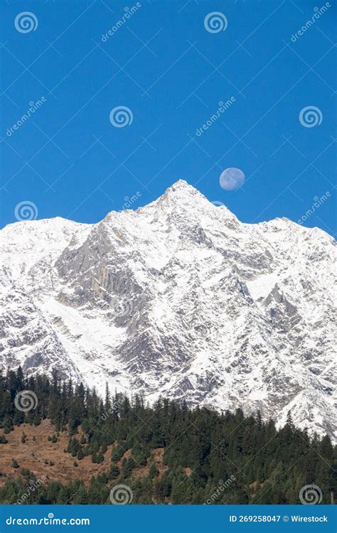 Snowy Himachal Mountains and Forest Stock Image - Image of forest, winter: 269258047