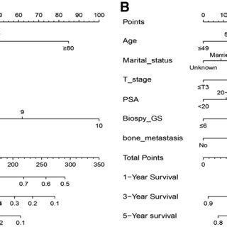 Nomograms To Predict 1 3 And 5 Year OS A And CSS B For MPCa