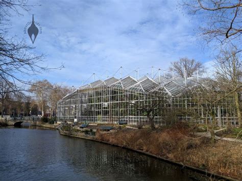 AboutOrchids » Blog Archive » Amsterdam’s Botanical Garden