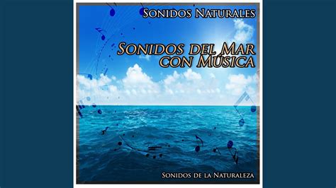 Sonidos Naturales Sonidos del Mar Con Música YouTube Music