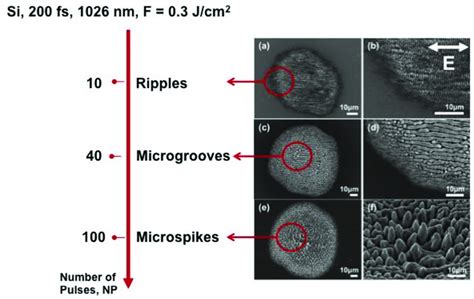 Different Types Of Femtosecond Fs Laser Induced Self Organized Download Scientific Diagram