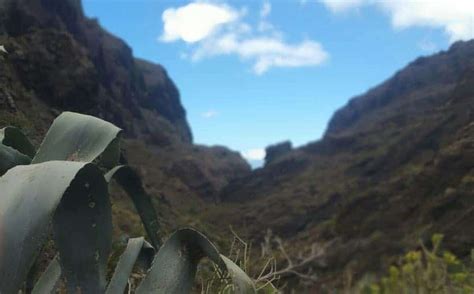 Masca Valley, Tenerife: Hiking between Giants - Travel Blog