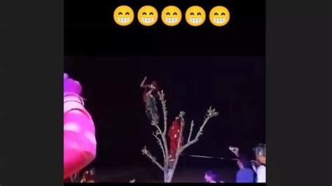 Nagin Dance Ka Video Women Doing Nagin Dance on Tree Watch Viral Video, पेड़ पर महिलाओं का ...