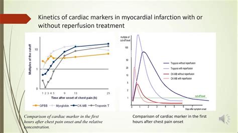 Cardiac Enzymes And Markers In Myocardial Infarction 5 Youtube