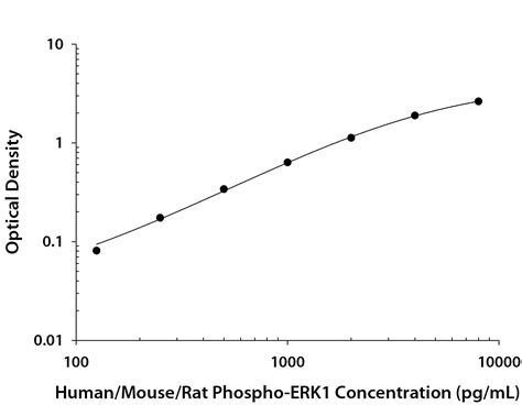 Human Mouse Rat Phospho JNK Pan Specific DuoSet IC ELISA DYC1387B 2 R