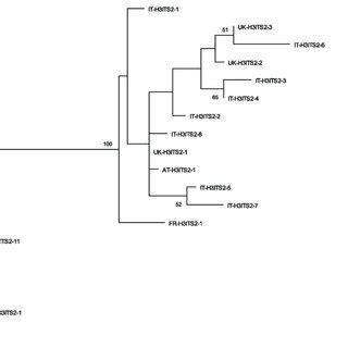 Maximum Likelihood Ml Tree Of Combined H And Its Sequences Of