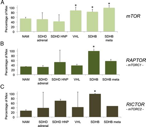 Levels Of Mtor Raptor And Rictor Are Elevated In Tumors With Sdhb Download Scientific Diagram