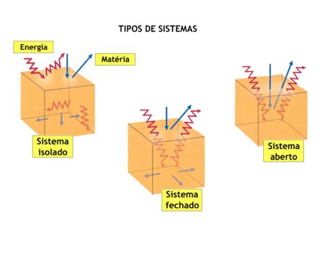 Biologia E Geologia Trabalho Pr Tico Aqu Rio Um Sistema Aberto