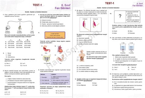 S N F Fen Bilimleri Testleri Pdf Ndir Sayfa