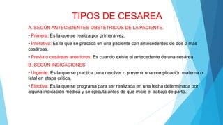 Cesarea Ppt