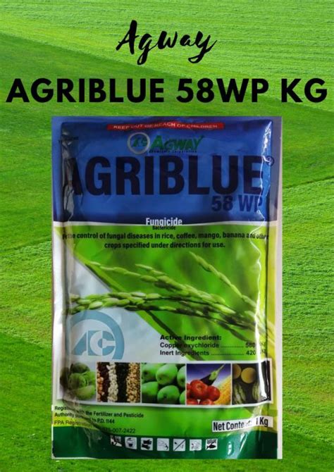 Agway Agriblue Wp Fungicide Kg Lazada Ph