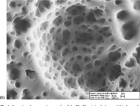 Figure 1 From Determination Of Ascorbic Acid By Polypyrrole