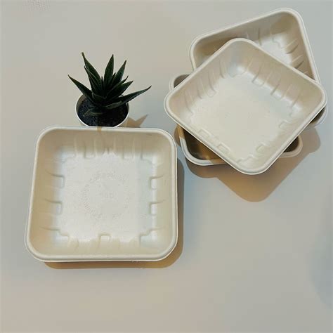 Biodegradable Sugarcane Bagasse Fruits Tray Big Rectangular Eco