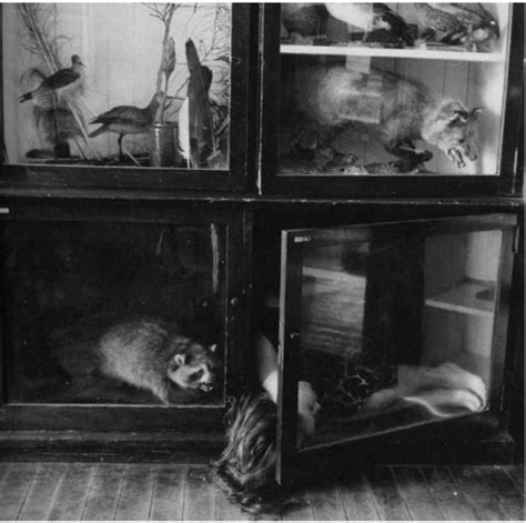 Francesca Woodman E A Subjetividade Como Revolu O