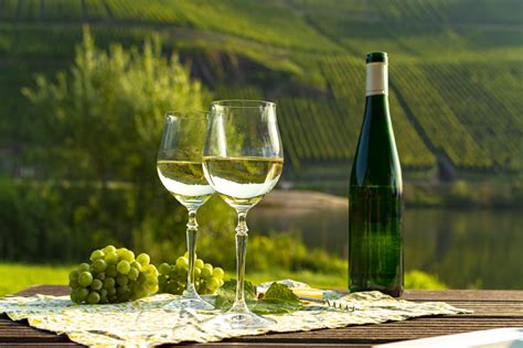 Pinot Gris Vs Pinot Grigio Wine Unveiling Key Differences New Day Wine