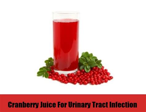 7 Home Remedies For Urinary Tract Infection Natural Treatments And Cure For Urinary Tract