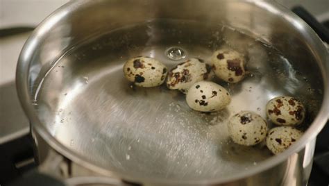 Vogelnestjes Van Kwarteleitjes Met Tomatensaus En Puree Dagelijkse Kost