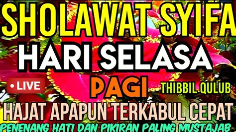 Sholawat Syifa Thibbil Qulub Hari Selasa Pagi Penenang Hati Dan