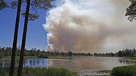 Cedar Fire Scorches More Than 9600 Acres