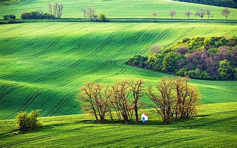 モラビアの緑の春の丘の耕地 写真背景 無料ダウンロードのための画像 Pngtree