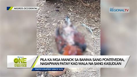 One Western Visayas Pila Ka Mga Manok Sa Banwa Sang Pontevedra