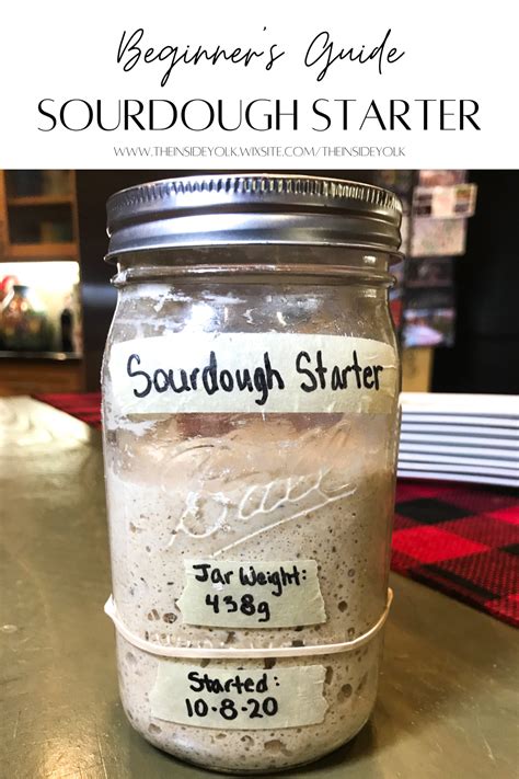 Sourdough Starter Artofit