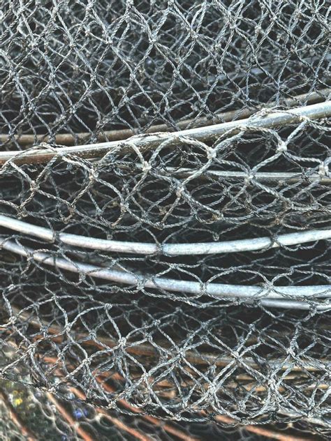 Wire Mesh Fence Stock Photos, Images and Backgrounds for Free Download